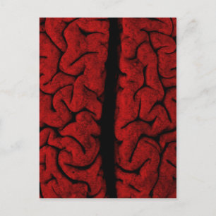 Carte postale vintage