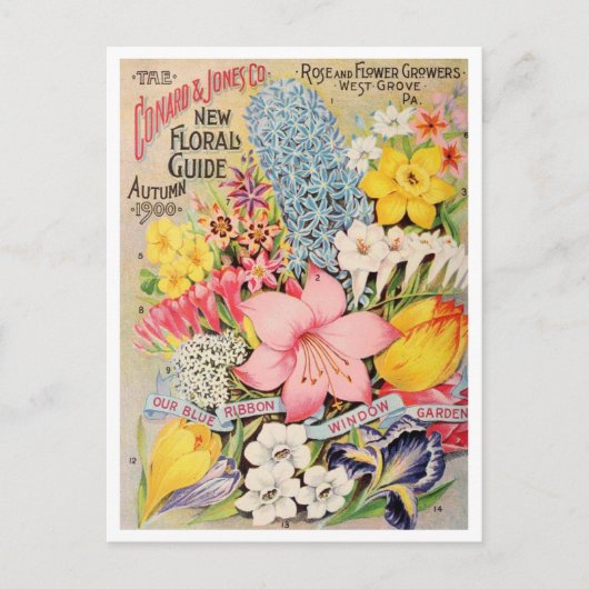 Carte postale vintage (Devant)