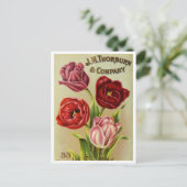 Carte postale vintage (Debout devant)