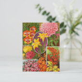 Carte postale vintage (Debout devant)