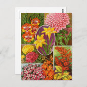 Carte postale vintage (Devant / Derrière)