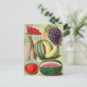 Carte postale vintage (Debout devant)