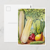 Carte postale vintage (Devant / Derrière)