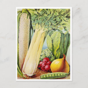 Carte postale vintage