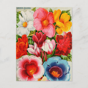 Carte postale vintage