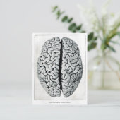 Carte postale vintage (Debout devant)