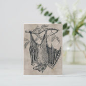 Carte postale vintage (Debout devant)