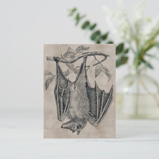 Carte postale vintage (Debout devant)