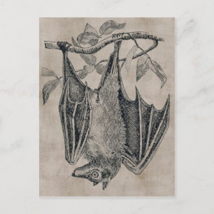 Carte postale vintage