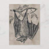 Carte postale vintage (Devant)