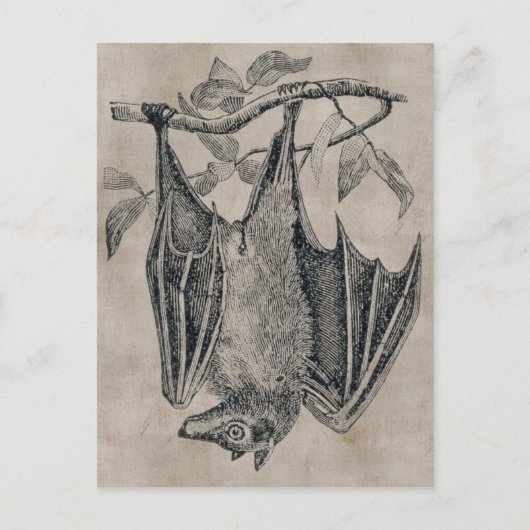 Carte postale vintage (Devant)