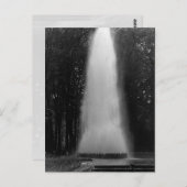 Carte Postale Vintage (Devant / Derrière)