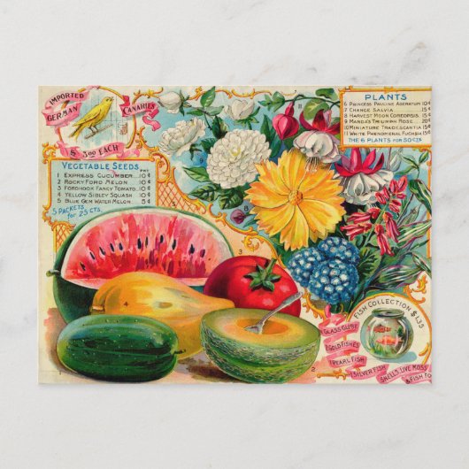 Carte postale vintage (Devant)