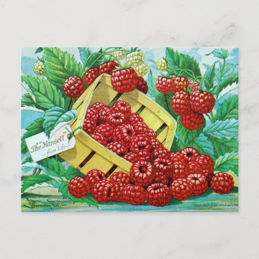 Carte postale vintage (Devant)