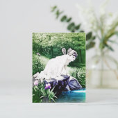 Carte postale vintage (Debout devant)