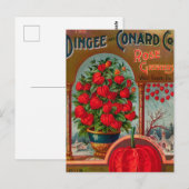 Carte postale vintage (Devant / Derrière)