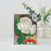 Carte postale vintage (Debout devant)