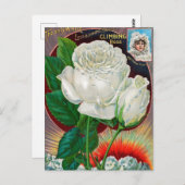 Carte postale vintage (Devant / Derrière)