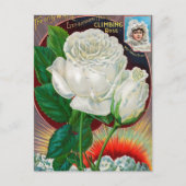 Carte postale vintage (Devant)