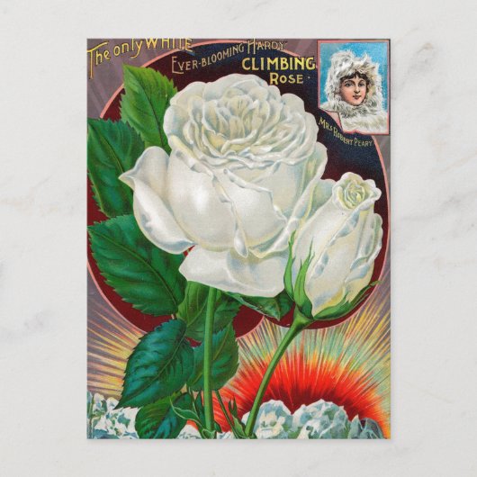 Carte postale vintage (Devant)