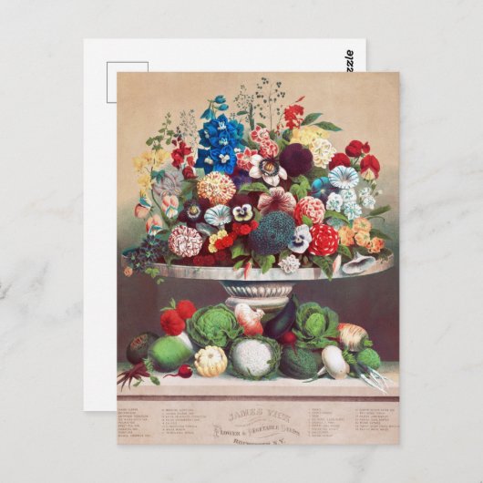 Carte postale vintage (Devant / Derrière)