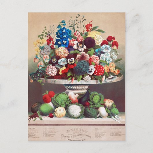 Carte postale vintage (Devant)