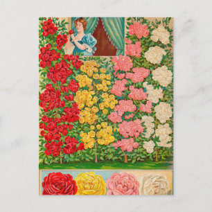 Carte postale vintage
