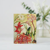 Carte postale vintage (Debout devant)