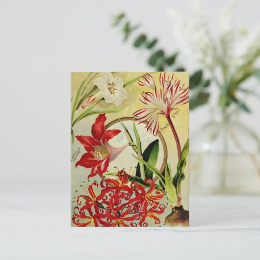 Carte postale vintage (Debout devant)