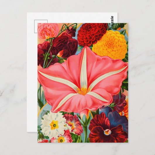 Carte postale vintage (Devant / Derrière)