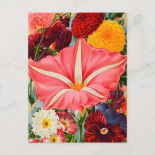 Carte postale vintage