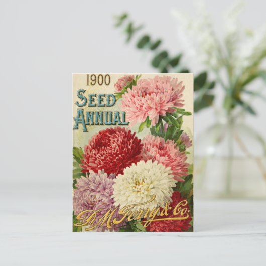 Carte postale vintage (Debout devant)