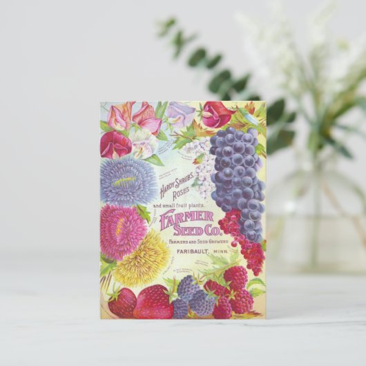 Carte postale vintage (Debout devant)