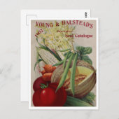 Carte postale vintage (Devant / Derrière)