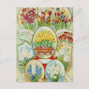 Carte postale vintage