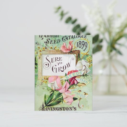 Carte postale vintage (Debout devant)