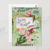 Carte postale vintage (Devant / Derrière)