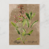 Carte postale vintage (Devant)