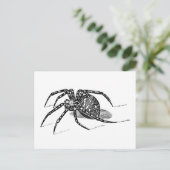 Carte Postale Vintage 1800s Spider Illustration Araignées Modèle (Debout devant)