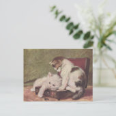 Carte Postale Vintage 1907 Illustration de chatons jouant (Debout devant)