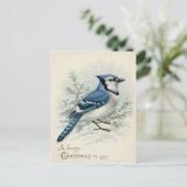 Carte Postale Vintage 1908 Geai Bleu Noël  (Debout devant)