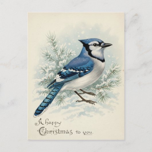 Carte Postale Vintage 1908 Geai Bleu Noël  (Devant)
