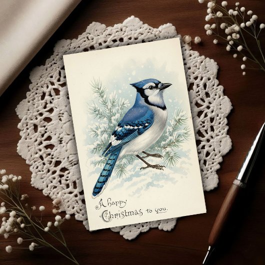 Carte Postale Vintage 1908 Geai Bleu Noël 
