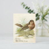 Carte Postale Vintage 1908 Robin Bird Christmas Greeting (Debout devant)