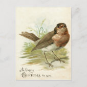 Carte Postale Vintage 1908 Robin Bird Christmas Greeting (Devant)