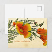 Carte Postale Vintage, 1910, Salutations de Californie (Devant / Derrière)