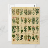 Carte postale vintage - 3 (Devant / Derrière)