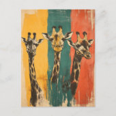 Carte Postale Vintage 3 girafes (Devant)