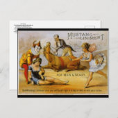 Carte Postale Vintage accord de Mustang (Devant / Derrière)