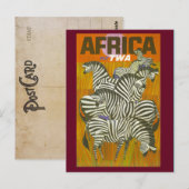 Carte postale vintage africaine Zebra Travel (Devant / Derrière)